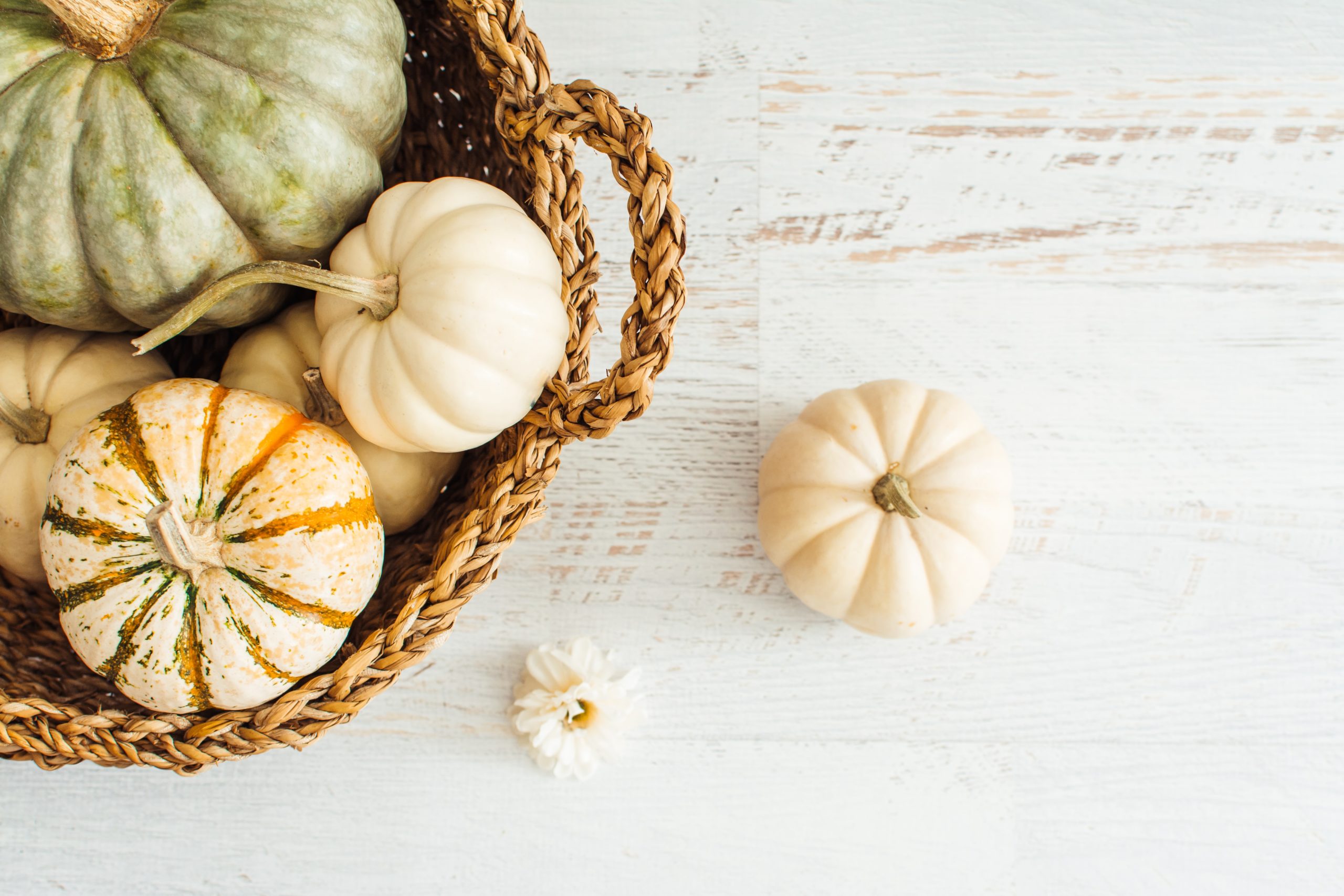 5 Easy Ways to Have a Mindful Fall Season - thriveaz.com