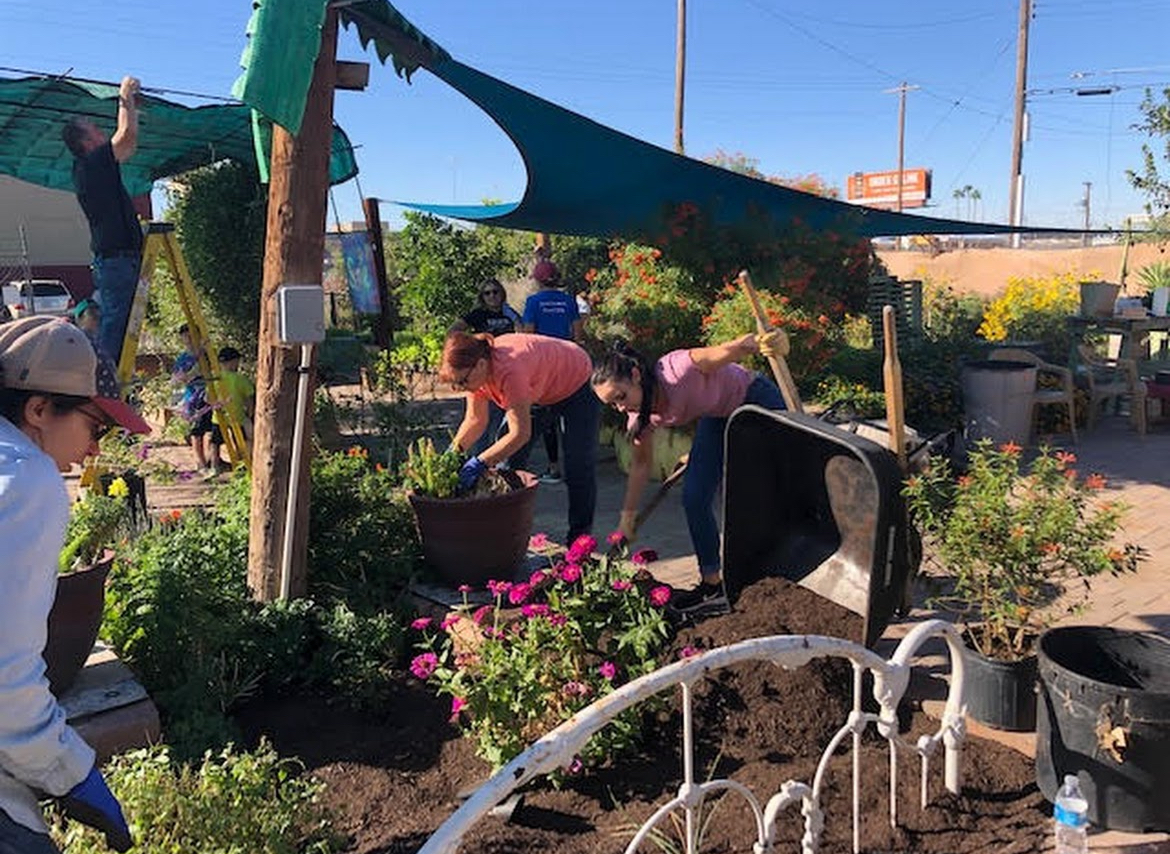 community gardens phoenix